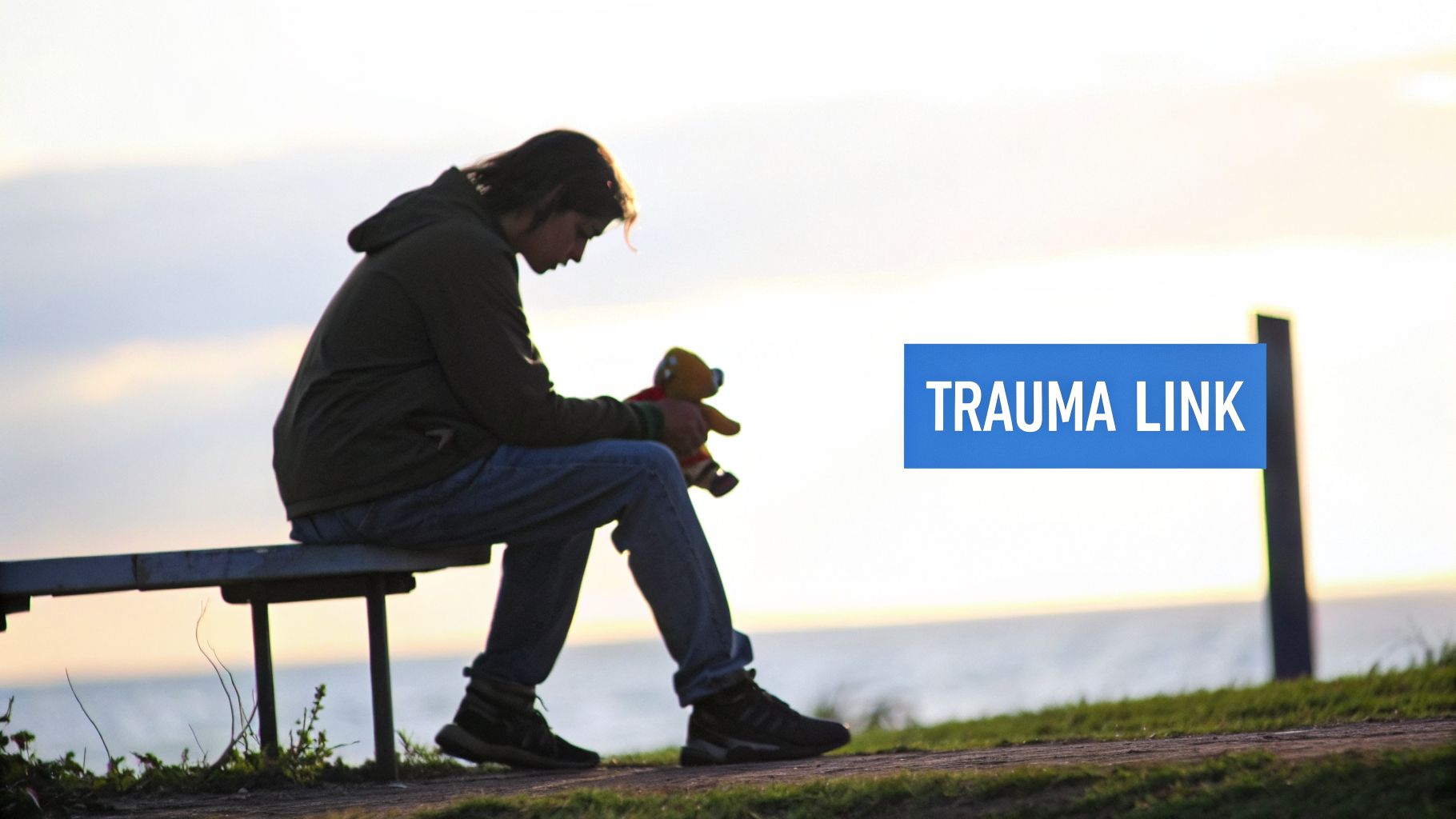 A young person sits on a bench holding a teddy bear, looking down, with 'TRAUMA LINK' text.