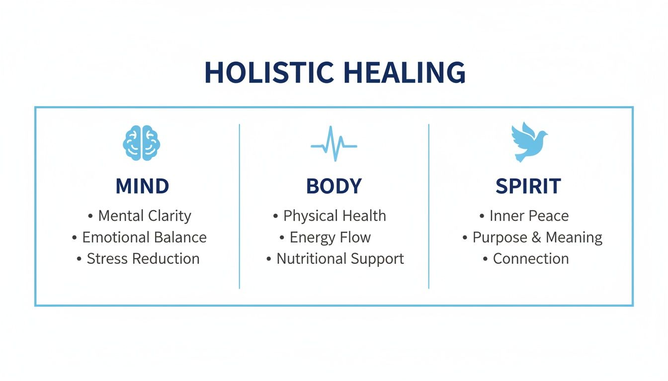 Holistic addiction treatment
