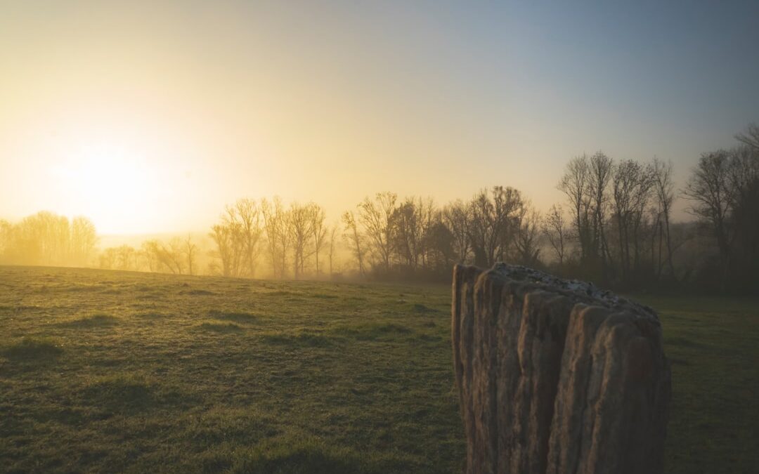 sunrise over open landscape symbolizing hope