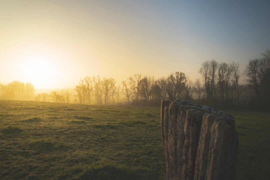 sunrise over open landscape symbolizing hope