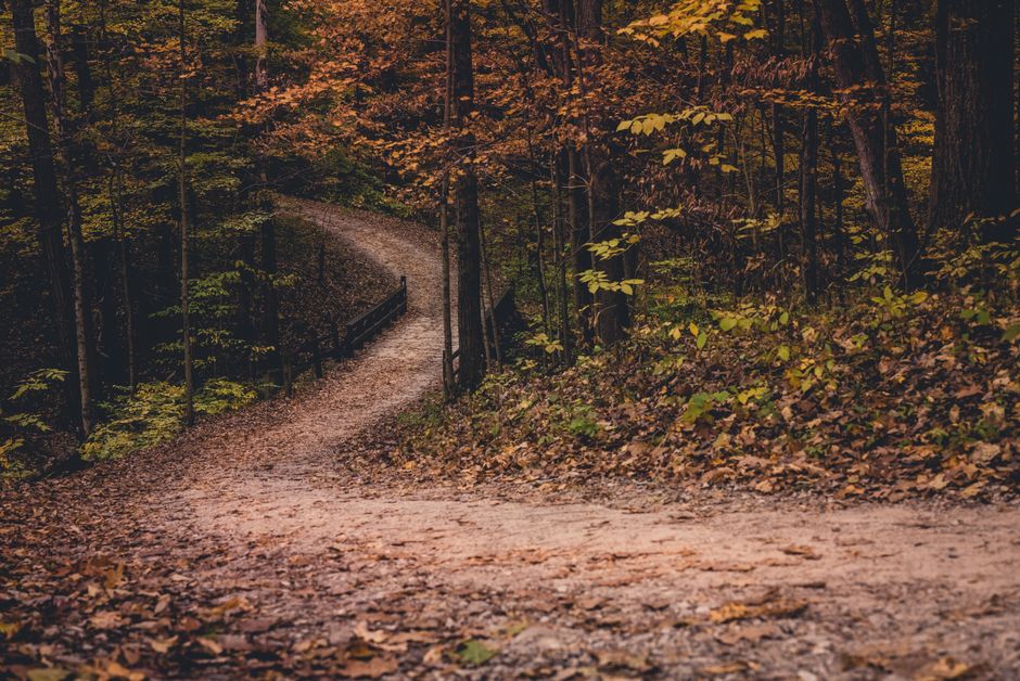 Allegheny County addiction support recovery path
