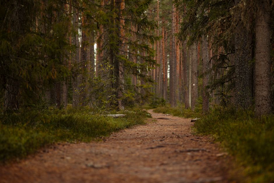 peaceful recovery path hope restoration renewal